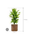 CC0022520_1