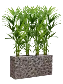 CC0029026