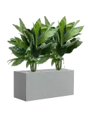 CC0029352