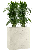 CC0029367