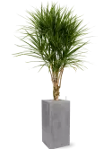 CC0029869
