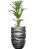 CC0035003