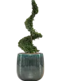 CC0046039