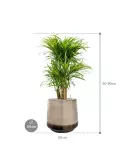 CC0047749_1