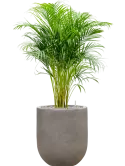 CC0048887