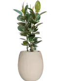 CC0049028