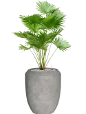 CC0050507