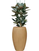 CC0051961