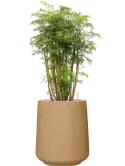 CC0052000
