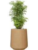 CC0052018
