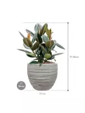 CC0053104_1