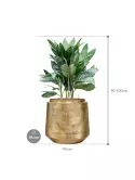 CC0054518_1