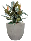 CC0057059