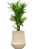 CC0059872