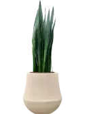 CC0059902