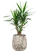 CC0060158