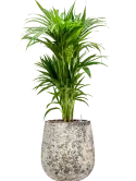 CC0060218
