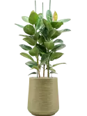 CC0060304