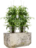 CC0060355