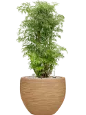 CC0060406
