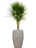 CC0060660