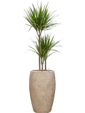 CC0060669