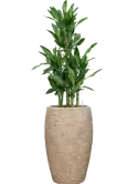 CC0060702