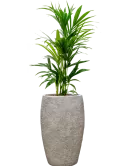 CC0060708