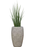 CC0060720