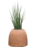 CC0061432