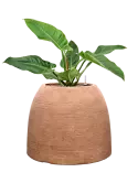 CC0061459