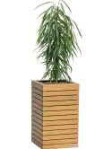 CC0061948