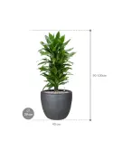 CC0064338_1