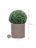 CC0066708_1