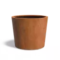 CC4
