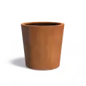 CC5