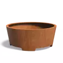 CCP1.1