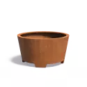 CCP2.1