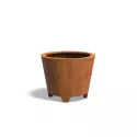 CCP5.1