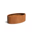 CEL3