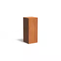 CK1