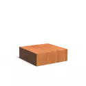 CK20