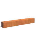 CK29