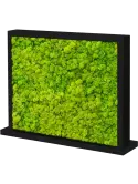CMSS00208