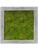 CMSS00230
