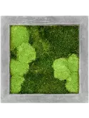 CMSS00232