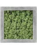 CMSS00234