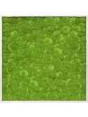 CMSS00314