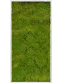 CMSS00327