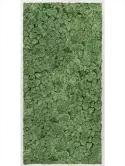 CMSS00330